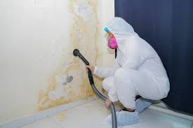 Biohazard Mold Removal in Cambria, IL